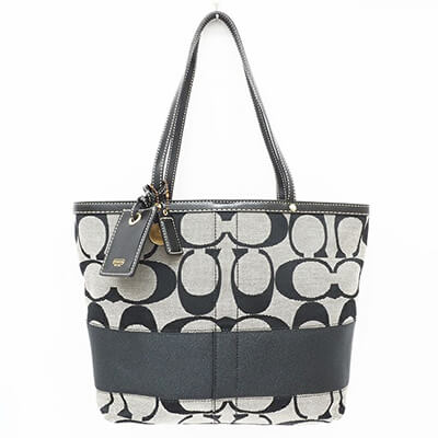 コーチ ストライプ ハンドバッグ シグネチャー 10124