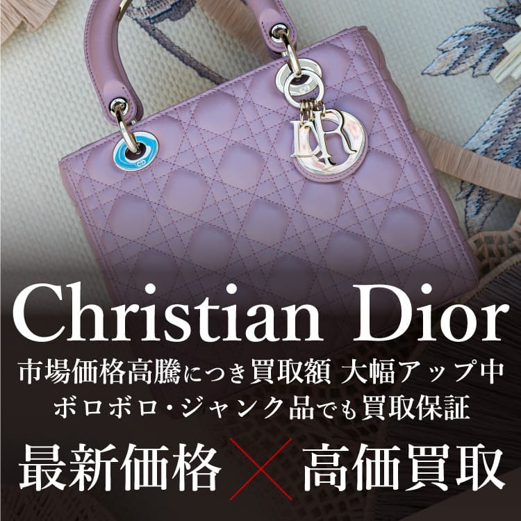 ネット通販で購入 Dior ハンドバッグ 【ジャンク品】 | www.oitachuorc.com