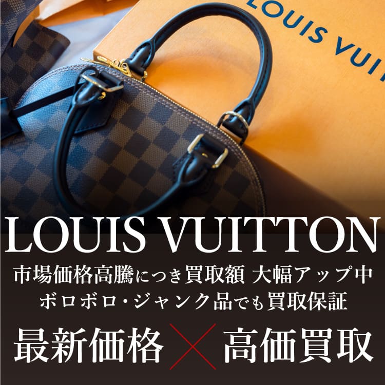 未使用新品 ルイヴィトン/LV モノグラム 香水ケース 100 黒 約8万円